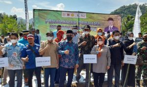 Bersama PT. Super Tani Indonesia, SDK Melakukan Penanaman Porang Perdana di Kalukku