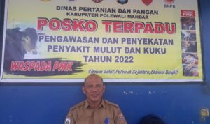 Kasus Virus Jembrana Pada Sapi, Distampan Polman Perketat Perbatasan