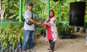 Dishut Sulbar gelontorkan anggaran Rp1,2 M untuk penghijauan lingkungan