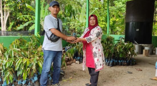 Dishut Sulbar gelontorkan anggaran Rp1,2 M untuk penghijauan lingkungan
