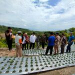Akmal Malik Kembali Suplai Bantuan Untuk Program Food Estate di Majene