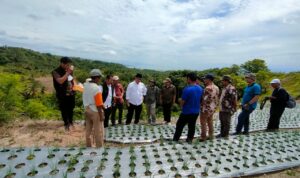 Akmal Malik Kembali Suplai Bantuan Untuk Program Food Estate di Majene