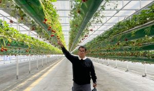 Berkunjung ke Korsel PJ, Gubernur pelajari sistem smart Farming dan kesehatan masyarakat