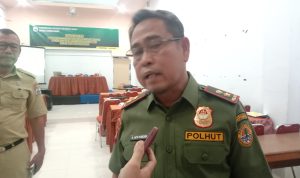 Dishut Sulbar gelar sosialisasi tindak pidana kehutanan dan  pencegahan perusakan hutan