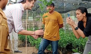 BBTPH Polman Genjot kebun Benih Hortikultura (KBH)