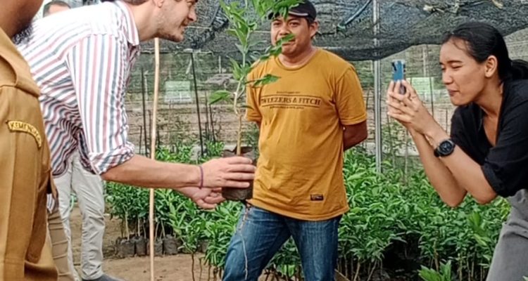 BBTPH Polman Genjot kebun Benih Hortikultura (KBH)