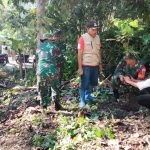 Cegah Banjir dan Longsor, Dandim Polman Perintahkan Anggota TNI Tanam Pohon