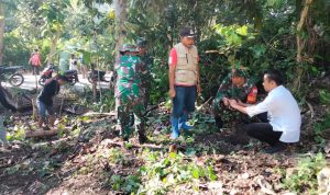 Cegah Banjir dan Longsor, Dandim Polman Perintahkan Anggota TNI Tanam Pohon Cegah Banjir dan Longsor, Dandim Polman Perintahkan Anggota TNI Tanam Pohon
