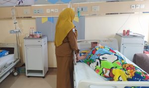 Sembilan Pasien DBD Dirawat di RS Andi Depu Sembilan Pasien DBD Dirawat di RS Andi Depu