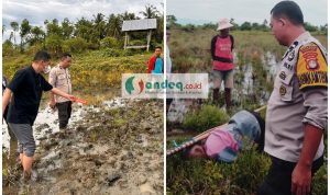 Penemuan Mayat di Sawah, Polsek Wonomulyo Lakukan Olah TKP