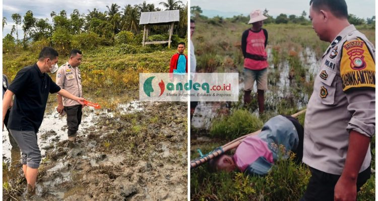 Penemuan Mayat di Sawah, Polsek Wonomulyo Lakukan Olah TKP