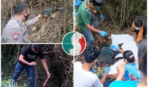 Tersesat 5 Hari di Kebun, Seorang Wanita Ditemukan Meninggal, Polisi Lakukan Olah TKP