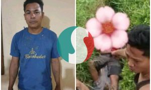 Perkelahian Berujung Maut di Ujuna, Palu Barat: Seorang Pemuda Tewas dengan 10 Luka Tusukan