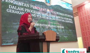 Percepatan Penurunan Stunning, Dinas P2KBP3A Polman Segera Luncurkan Program Orang Tua Asuh