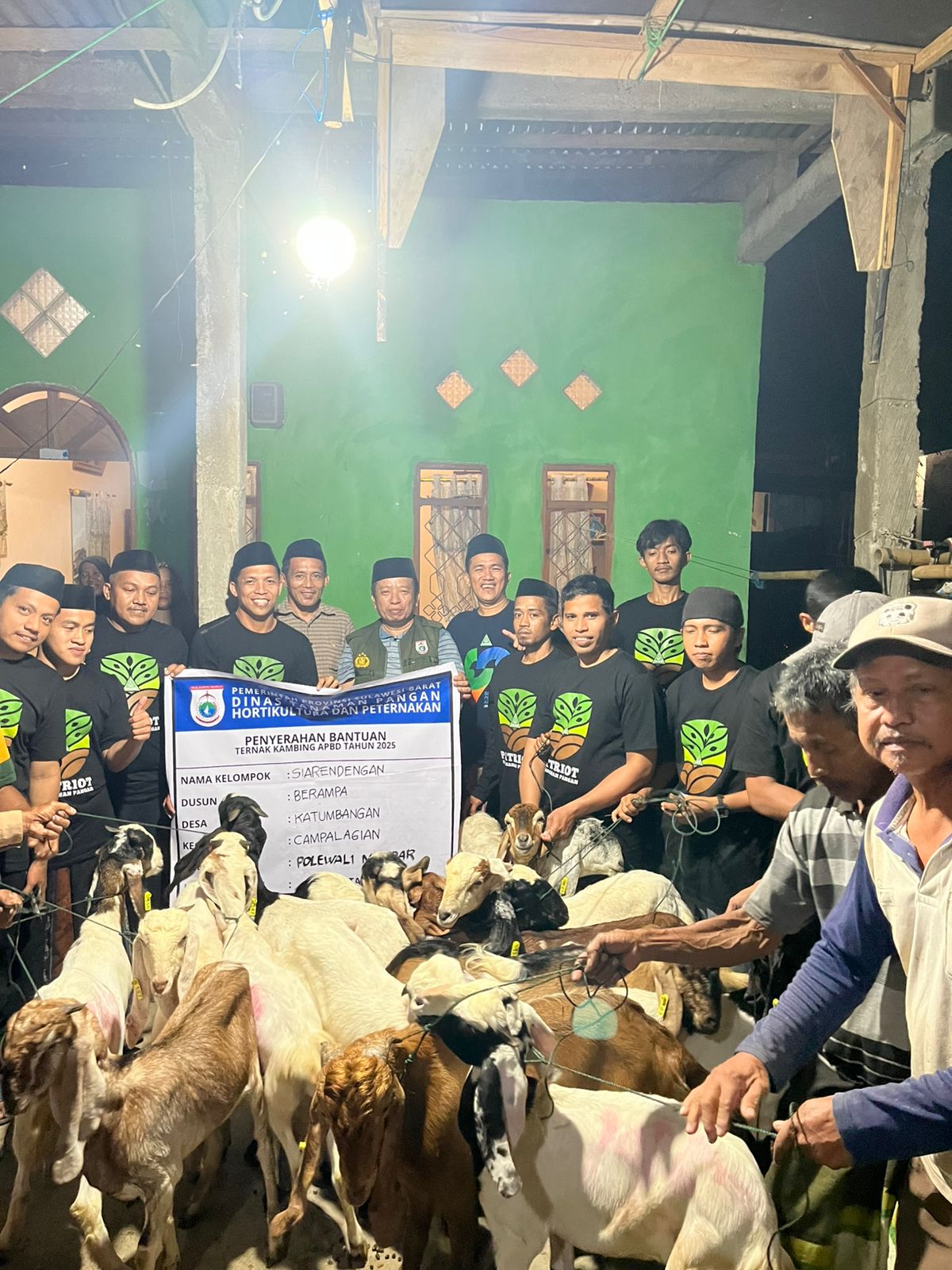 Dukung Kemandirian Ekonomi Organisasi, Gubernur Sulbar Beri Bantuan Ternak untuk Anshor Polman