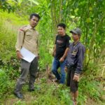 PENINJAUAN LAPANG PANITIA A UNTUK KEPASTIAN HUKUM PERTANAHAN DI BOMBONG LAMBE