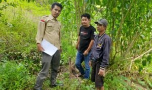 PENINJAUAN LAPANG PANITIA A UNTUK KEPASTIAN HUKUM PERTANAHAN DI BOMBONG LAMBE