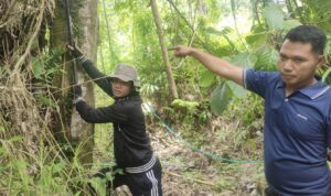 Birokrasi Melayani, Hukum Menjaga: Kantah Mamasa Gelar Deklarasi Batas untuk Kepastian Tanah yang Berkeadilan