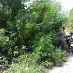 KANTAH MAMASA VERIFIKASI LAPANGAN UNTUK KEPASTIAN TATA RUANG: TINJAU LOKASI PENGURUSAN HAK ATAS TANAH NON-BERUSAHA