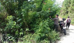 KANTAH MAMASA VERIFIKASI LAPANGAN UNTUK KEPASTIAN TATA RUANG: TINJAU LOKASI PENGURUSAN HAK ATAS TANAH NON-BERUSAHA