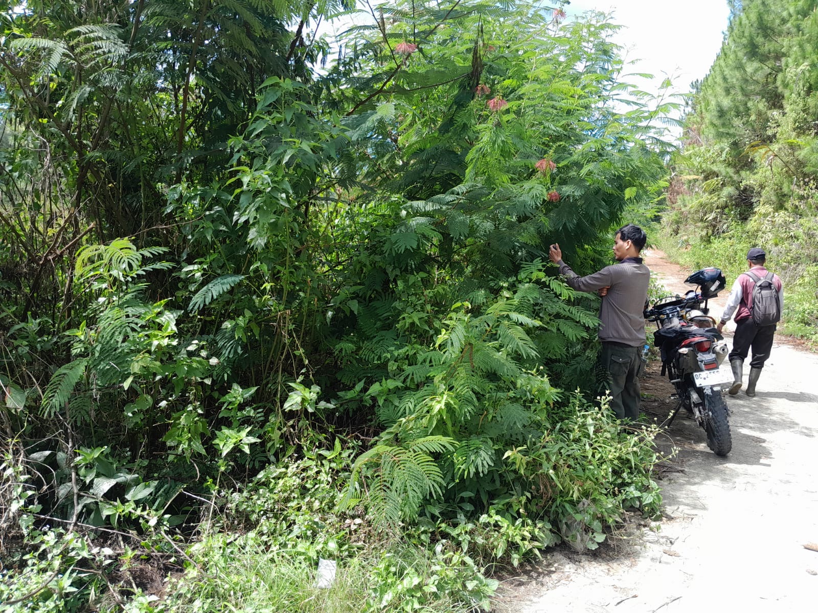 KANTAH MAMASA VERIFIKASI LAPANGAN UNTUK KEPASTIAN TATA RUANG: TINJAU LOKASI PENGURUSAN HAK ATAS TANAH NON-BERUSAHA