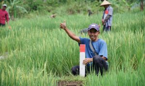 Simak Tips untuk Menjaga Tanah agar Tidak Diserobot Orang Lain