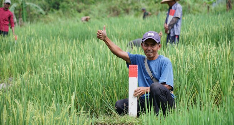 Simak Tips untuk Menjaga Tanah agar Tidak Diserobot Orang Lain