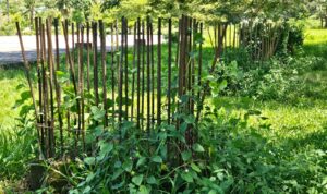 Proyek Sport Center Polman Mangkrak, Publik Desak APH Usut Tuntas Proyek Sport Center Polman Mangkrak, Publik Desak APH Usut Tuntas