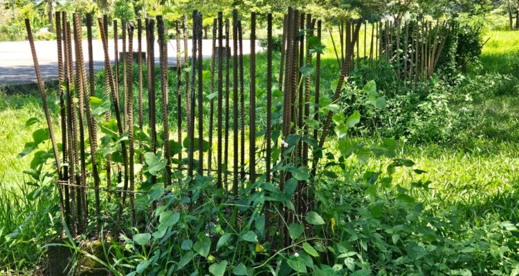 Proyek Sport Center Polman Mangkrak, Publik Desak APH Usut Tuntas