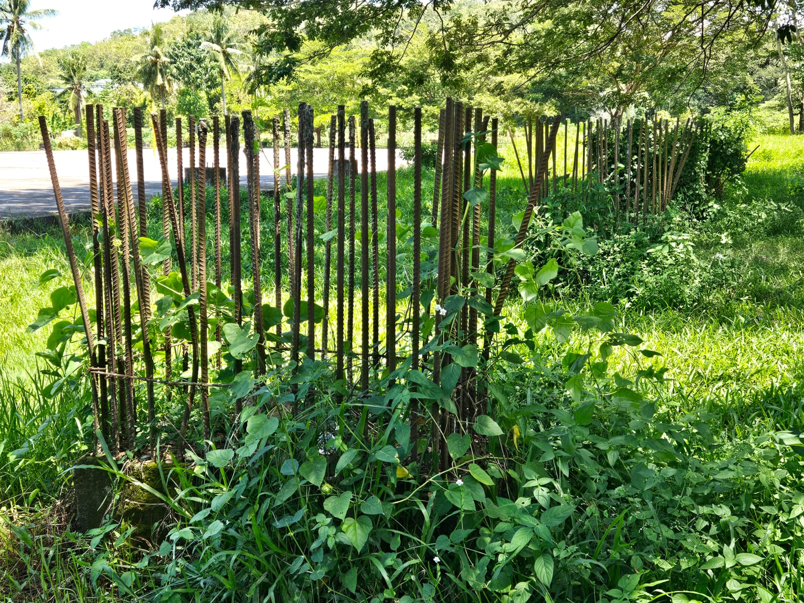 Proyek Sport Center Polman Mangkrak, Publik Desak APH Usut Tuntas