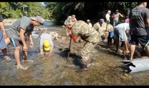 Babinsa Wonomulyo Bersama Warga Bangun Jalan Limpas Penghubung Dua Desa