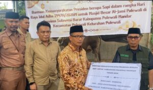 Menjelang Hari Raya Idul Adha 1447 Hijriah, masyarakat Kabupaten Polewali Mandar mendapat perhatian khusus dari Presiden RI, Prabowo Subianto. Seekor sapi kurban berukuran jumbo dengan bobot mencapai 1 ton 153 kilogram