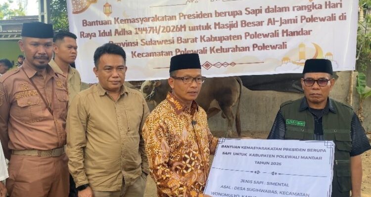 Menjelang Hari Raya Idul Adha 1447 Hijriah, masyarakat Kabupaten Polewali Mandar mendapat perhatian khusus dari Presiden RI, Prabowo Subianto. Seekor sapi kurban berukuran jumbo dengan bobot mencapai 1 ton 153 kilogram Menjelang Hari Raya Idul Adha 1447 Hijriah, masyarakat Kabupaten Polewali Mandar mendapat perhatian khusus dari Presiden RI, Prabowo Subianto. Seekor sapi kurban berukuran jumbo dengan bobot mencapai 1 ton 153 kilogram