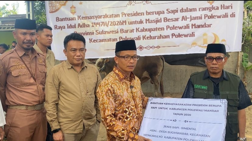 Menjelang Hari Raya Idul Adha 1447 Hijriah, masyarakat Kabupaten Polewali Mandar mendapat perhatian khusus dari Presiden RI, Prabowo Subianto. Seekor sapi kurban berukuran jumbo dengan bobot mencapai 1 ton 153 kilogram