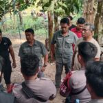 Polres Polman dan Kodim Grebek Praktik Judi Sabung Ayam di Anreapi