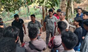 Polres Polman dan Kodim Grebek Praktik Judi Sabung Ayam di Anreapi