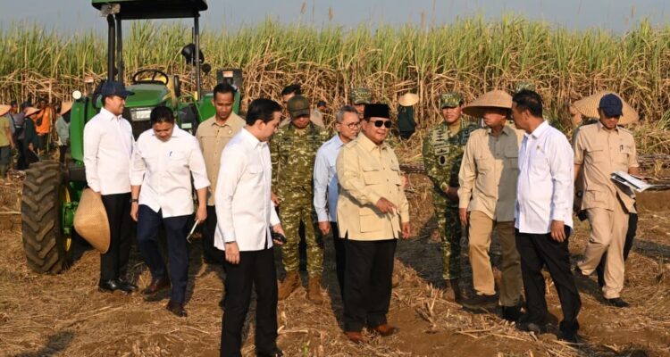 Dampingi Presiden Prabowo Panen Raya di Malang, Menteri Nusron: Ketahanan Pangan Butuh Kepastian Hukum Tanah Dampingi Presiden Prabowo Panen Raya di Malang, Menteri Nusron: Ketahanan Pangan Butuh Kepastian Hukum Tanah