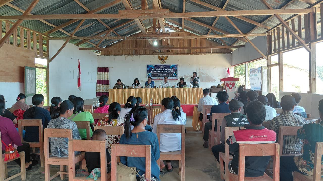Kantor Pertanahan Mamasa Gelar Bimtek Olahan Nanas untuk Dukung Reforma Agraria