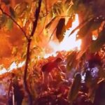 Kebakaran Lahan Kembali Terjadi di Buttu Pemmuaṭang Kecamatan Alu