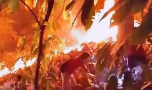 Kebakaran Lahan Kembali Terjadi di Buttu Pemmuaṭang Kecamatan Alu