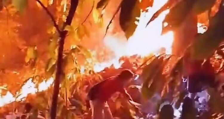 Kebakaran Lahan Kembali Terjadi di Buttu Pemmuaṭang Kecamatan Alu Kebakaran Lahan Kembali Terjadi di Buttu Pemmuaṭang Kecamatan Alu