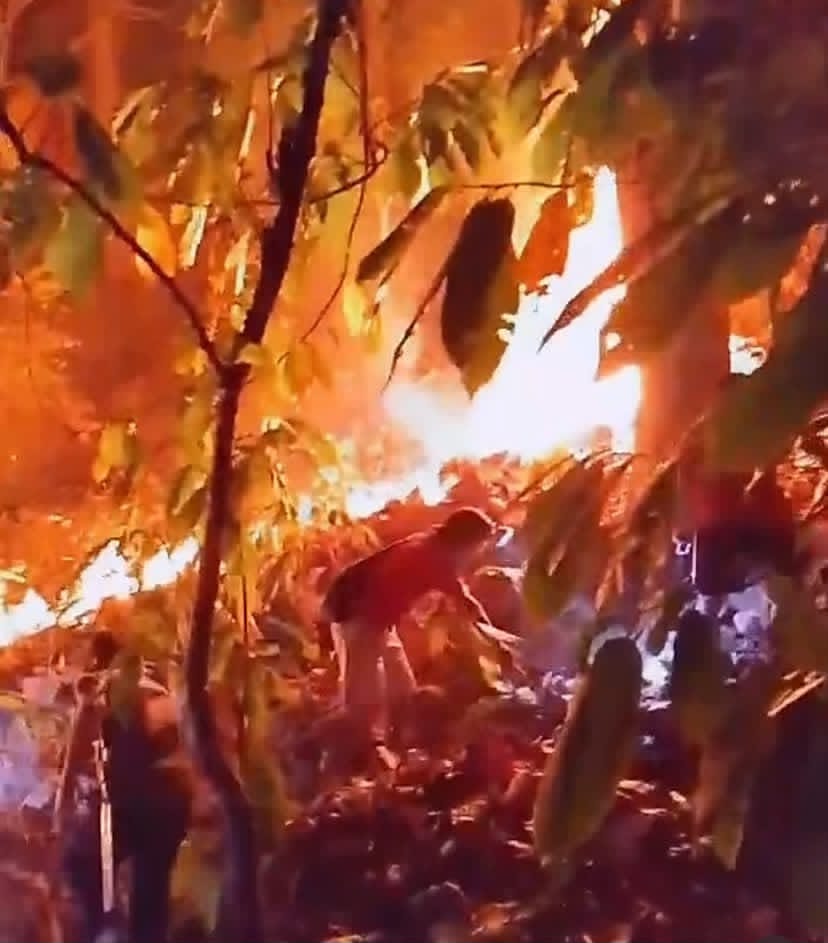 Kebakaran Lahan Kembali Terjadi di Buttu Pemmuaṭang Kecamatan Alu