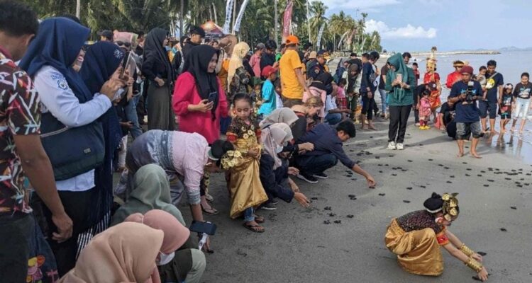 Ramaikan Pembukaan Festival Penyu, Tim Pengabdian Unasman Sosialisasi Aplikasi Edu Penyu sebagai Atraksi Baru Bagi Komunitas Sahabat Penyu
